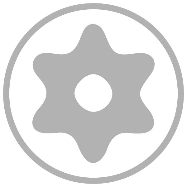 Bits mit Boh­rung für Torx®-Schrauben