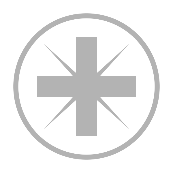 Bits für Pozidriv<sup>®</sup>-Schrauben