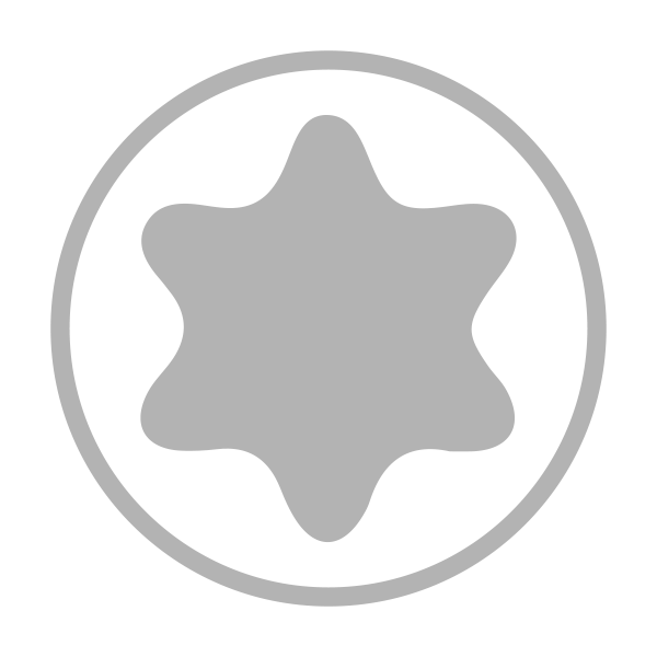 Bits für Torx<sup>®</sup>-Schrauben