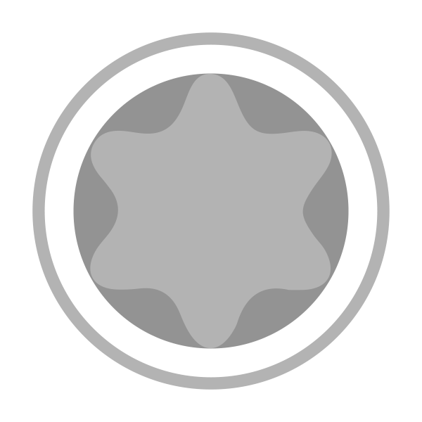 Wedge Bit für Torx®-Schrauben